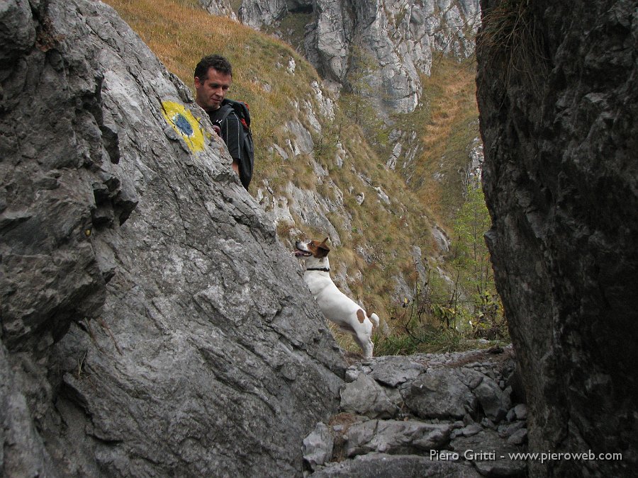 cancervo102 076.jpg - Teddy di fronte al tratto attrezzato con catene è preoccupato